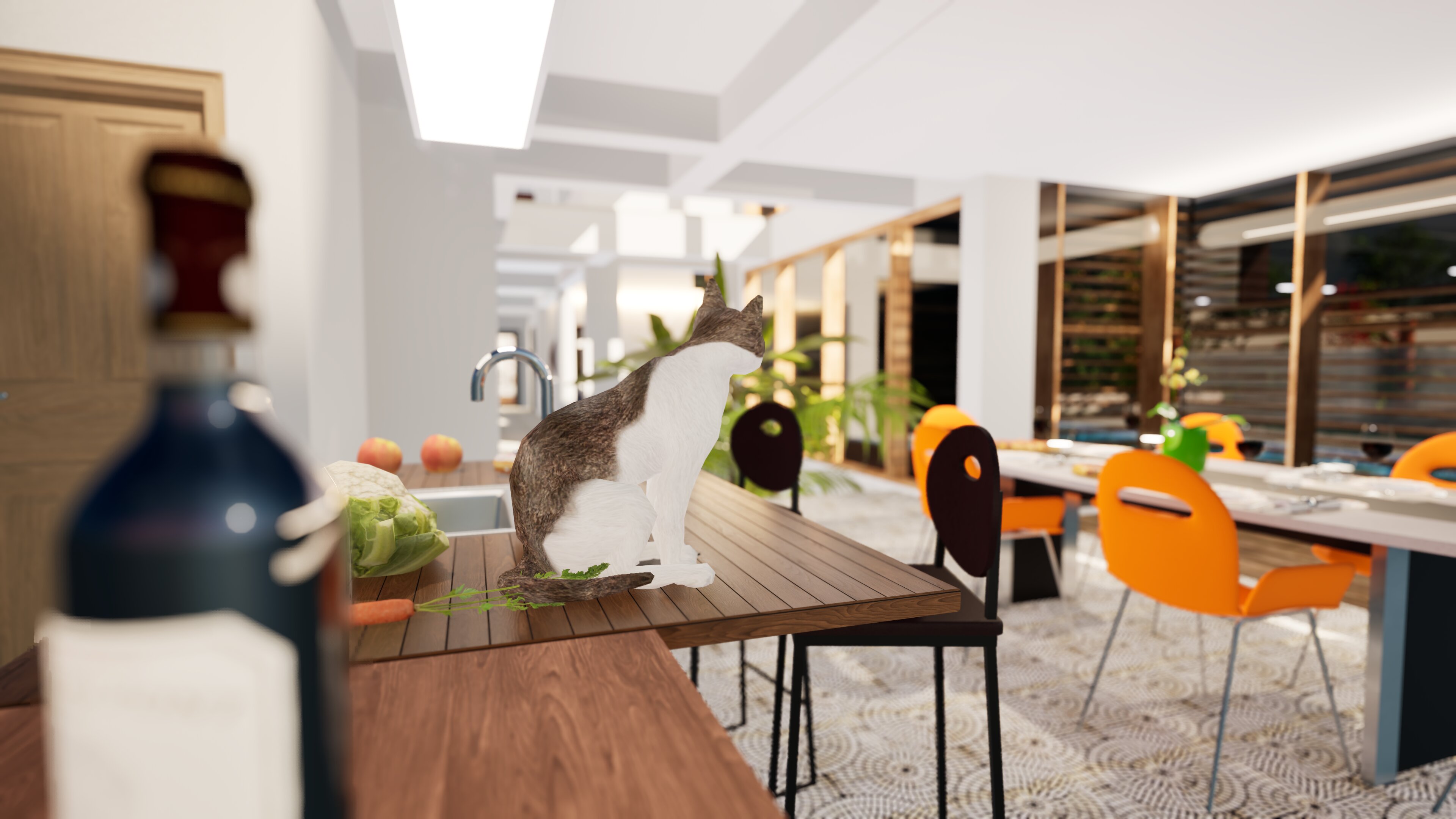 3D View