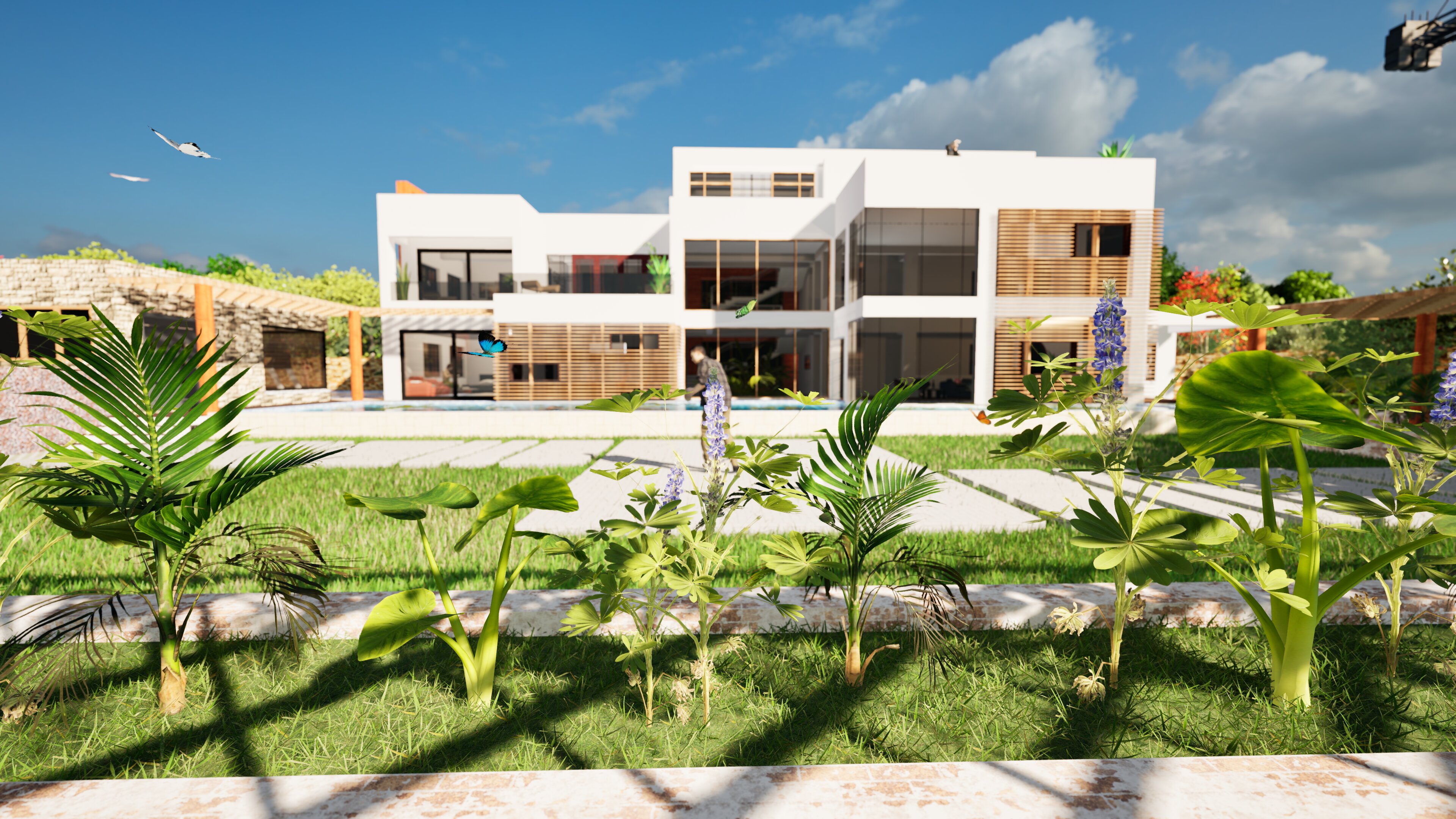 3D View